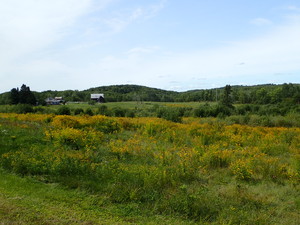 <b>Scenery Along the Way</b>